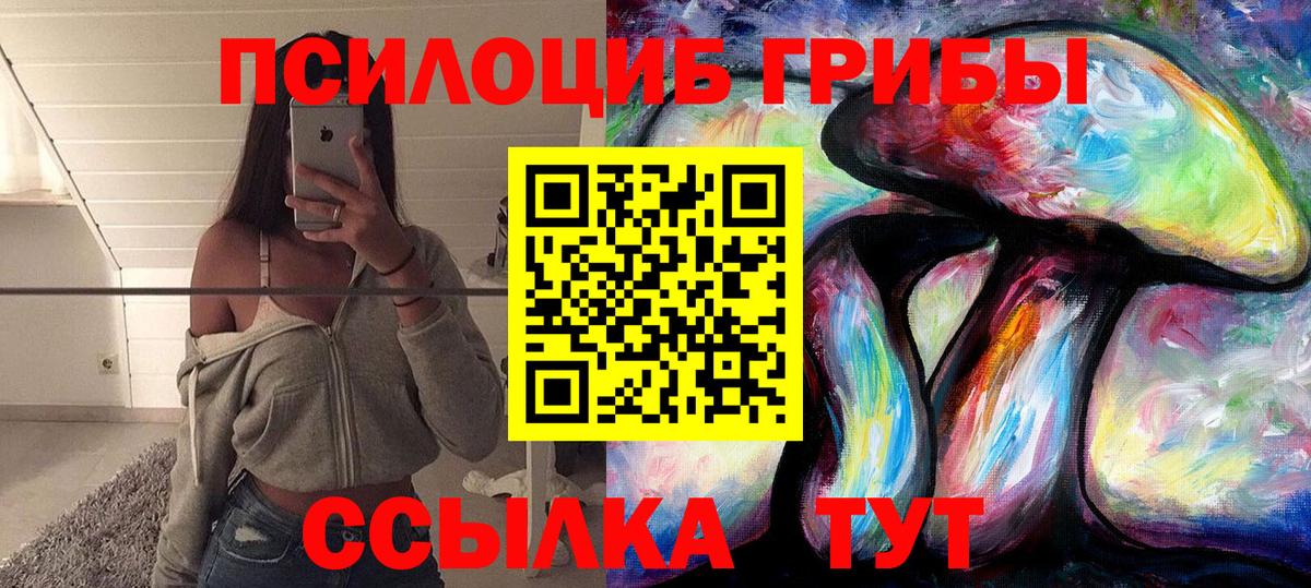 Галлюциногенные грибы GOLDEN TEACHER  Вход с VPN  купить наркотик  Вятские Поляны 